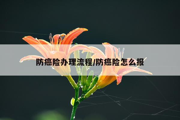 防癌险办理流程/防癌险怎么报