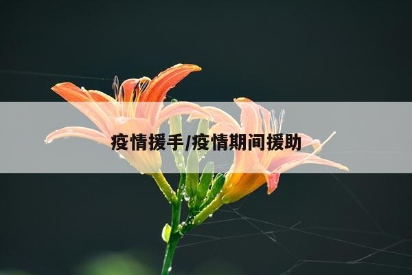 疫情援手/疫情期间援助