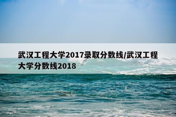 武汉工程大学2017录取分数线/武汉工程大学分数线2018
