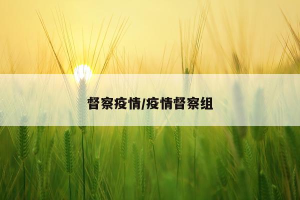 督察疫情/疫情督察组