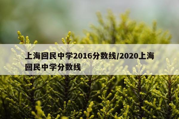 上海回民中学2016分数线/2020上海回民中学分数线