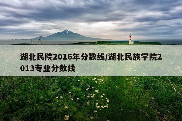 湖北民院2016年分数线/湖北民族学院2013专业分数线