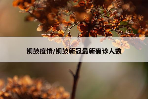 铜鼓疫情/铜鼓新冠最新确诊人数