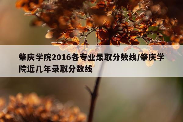 肇庆学院2016各专业录取分数线/肇庆学院近几年录取分数线
