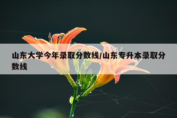山东大学今年录取分数线/山东专升本录取分数线