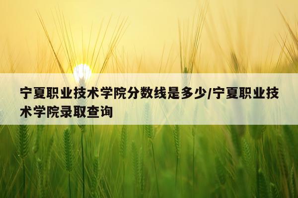 宁夏职业技术学院分数线是多少/宁夏职业技术学院录取查询