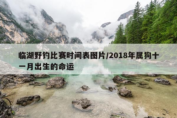 临湖野钓比赛时间表图片/2018年属狗十一月出生的命运