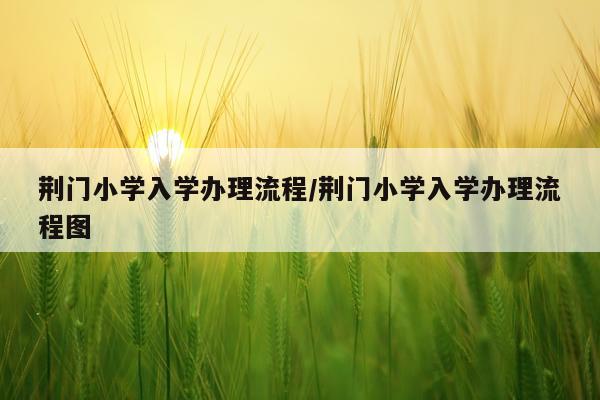 荆门小学入学办理流程/荆门小学入学办理流程图
