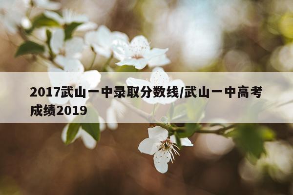 2017武山一中录取分数线/武山一中高考成绩2019
