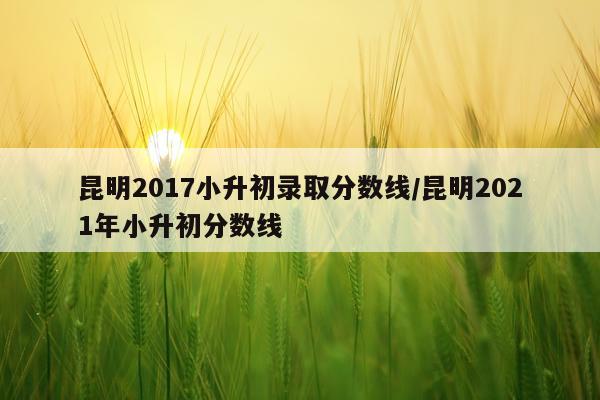 昆明2017小升初录取分数线/昆明2021年小升初分数线