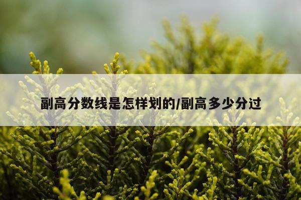 副高分数线是怎样划的/副高多少分过