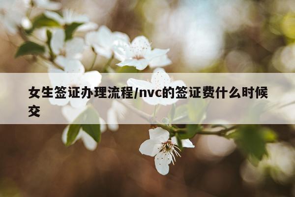 女生签证办理流程/nvc的签证费什么时候交