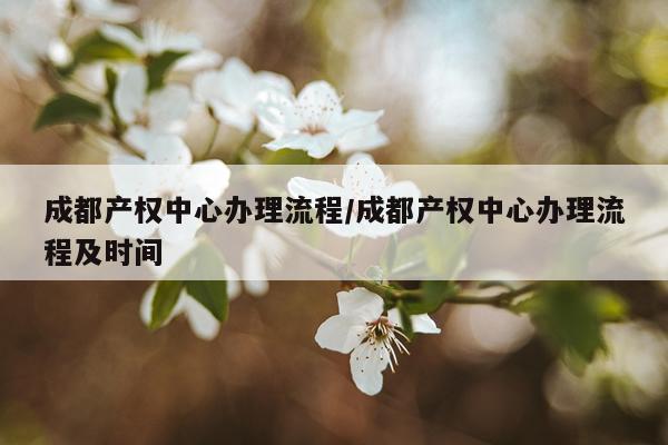 成都产权中心办理流程/成都产权中心办理流程及时间