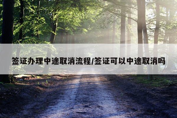 签证办理中途取消流程/签证可以中途取消吗