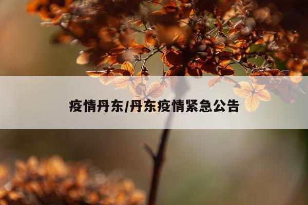 疫情丹东/丹东疫情紧急公告