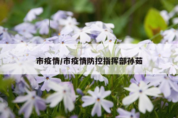 市疫情/市疫情防控指挥部孙茹
