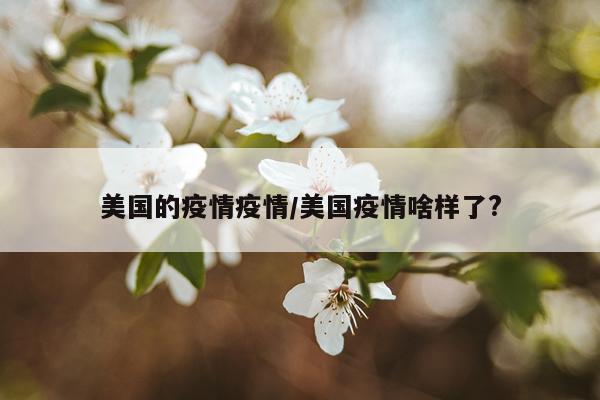 美国的疫情疫情/美国疫情啥样了?