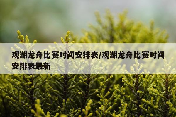 观湖龙舟比赛时间安排表/观湖龙舟比赛时间安排表最新
