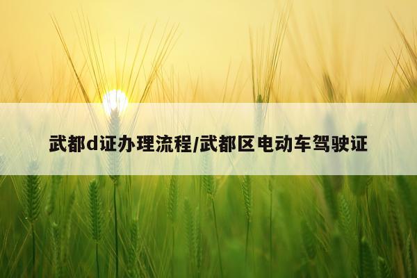 武都d证办理流程/武都区电动车驾驶证