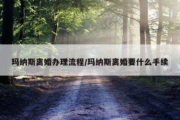 玛纳斯离婚办理流程/玛纳斯离婚要什么手续