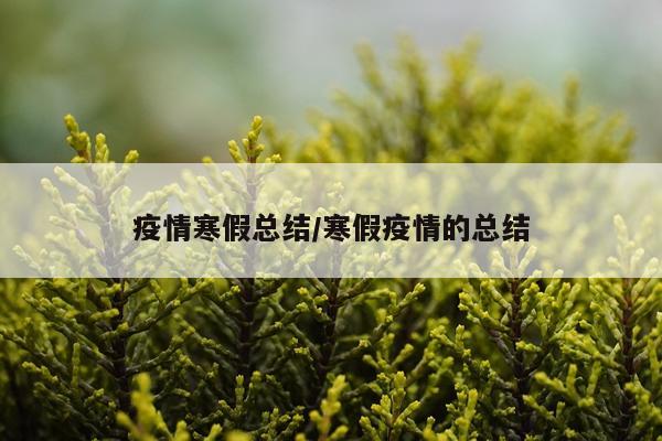 疫情寒假总结/寒假疫情的总结