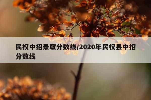 民权中招录取分数线/2020年民权县中招分数线
