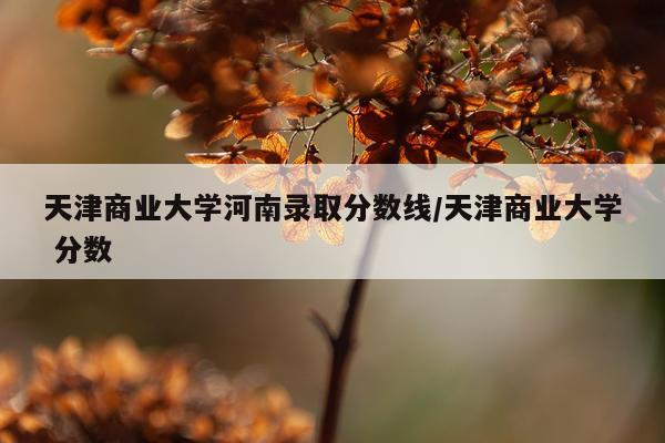 天津商业大学河南录取分数线/天津商业大学 分数