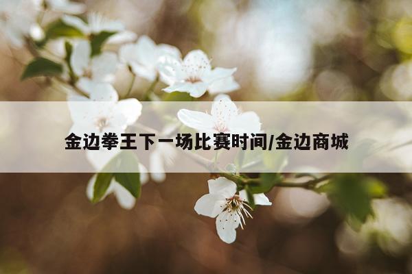 金边拳王下一场比赛时间/金边商城