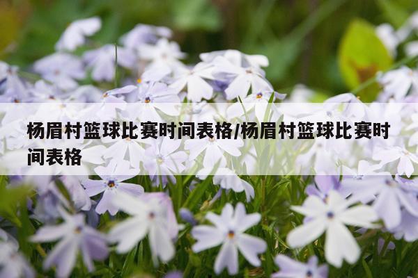 杨眉村篮球比赛时间表格/杨眉村篮球比赛时间表格
