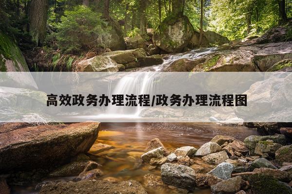 高效政务办理流程/政务办理流程图