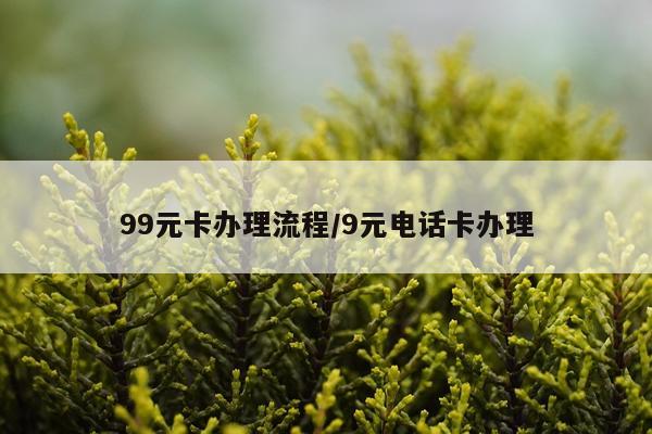 99元卡办理流程/9元电话卡办理