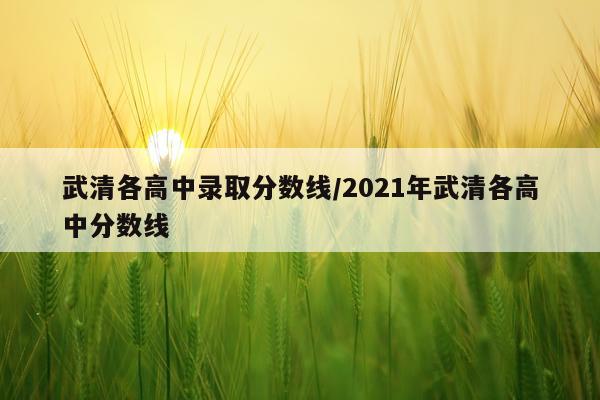 武清各高中录取分数线/2021年武清各高中分数线