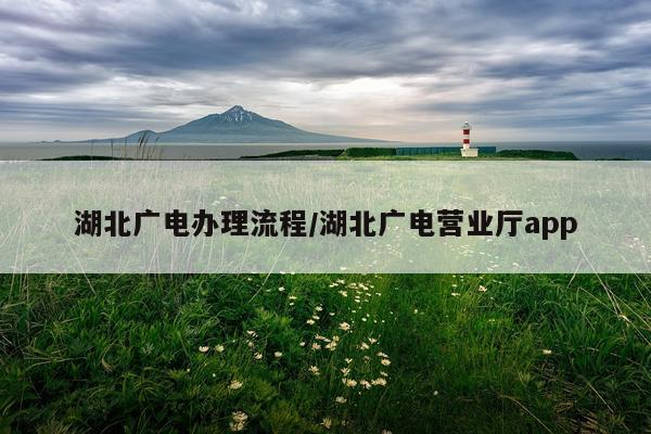 湖北广电办理流程/湖北广电营业厅app