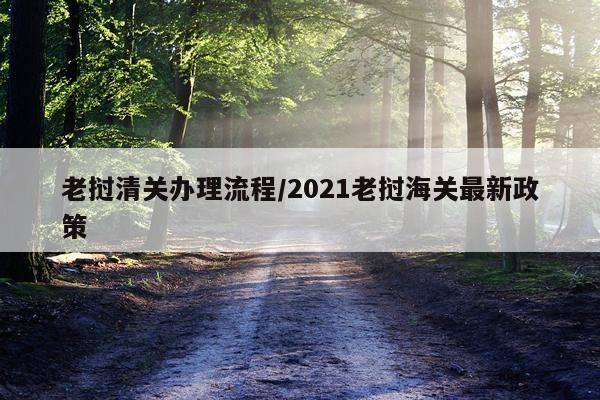 老挝清关办理流程/2021老挝海关最新政策