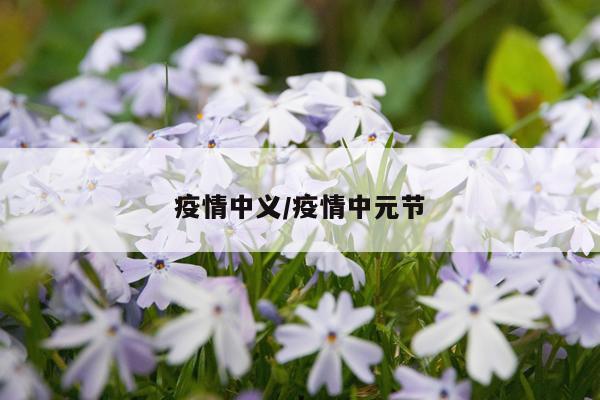 疫情中义/疫情中元节