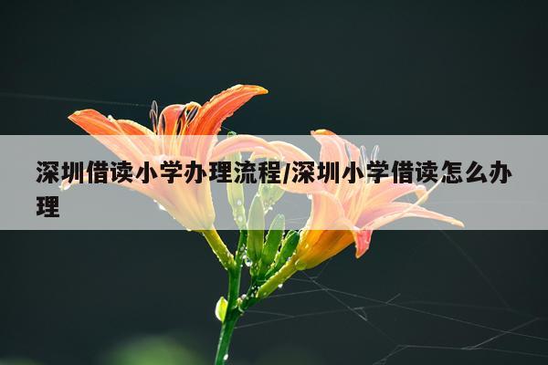 深圳借读小学办理流程/深圳小学借读怎么办理