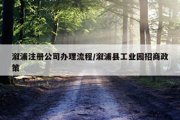 溆浦注册公司办理流程/溆浦县工业园招商政策