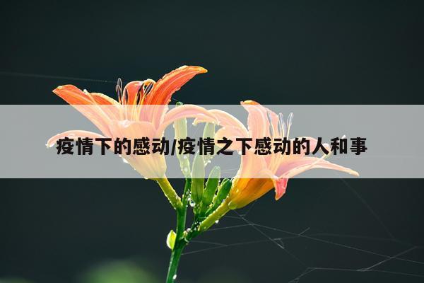 疫情下的感动/疫情之下感动的人和事