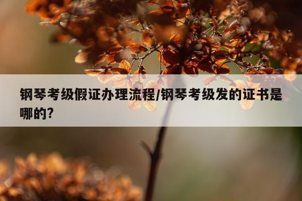 钢琴考级假证办理流程/钢琴考级发的证书是哪的?