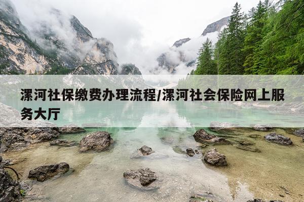 漯河社保缴费办理流程/漯河社会保险网上服务大厅