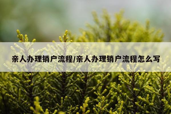 亲人办理销户流程/亲人办理销户流程怎么写