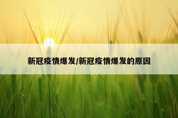 新冠疫情爆发/新冠疫情爆发的原因