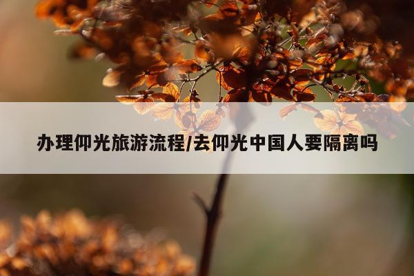 办理仰光旅游流程/去仰光中国人要隔离吗