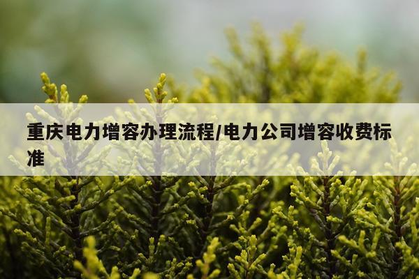 重庆电力增容办理流程/电力公司增容收费标准