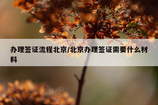 办理签证流程北京/北京办理签证需要什么材料