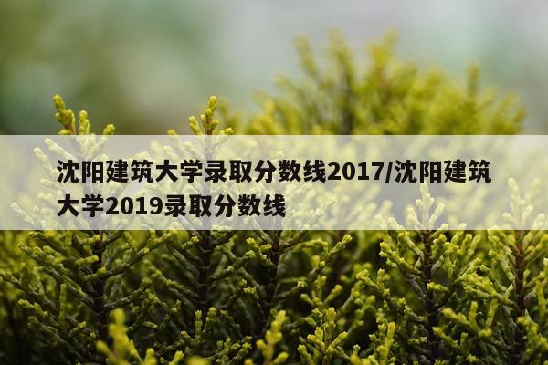 沈阳建筑大学录取分数线2017/沈阳建筑大学2019录取分数线