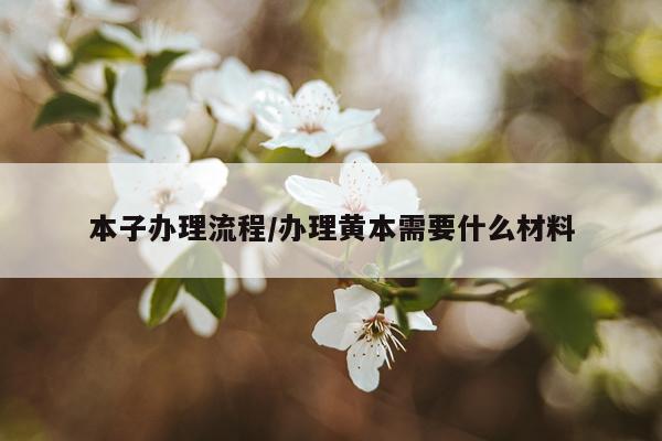 本子办理流程/办理黄本需要什么材料