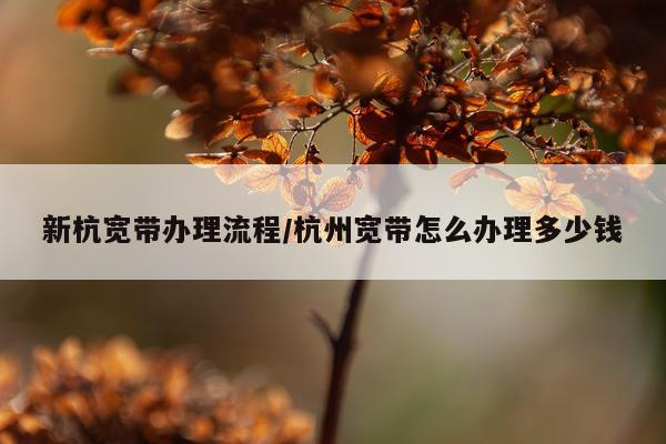 新杭宽带办理流程/杭州宽带怎么办理多少钱