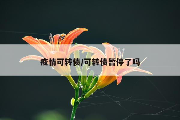 疫情可转债/可转债暂停了吗