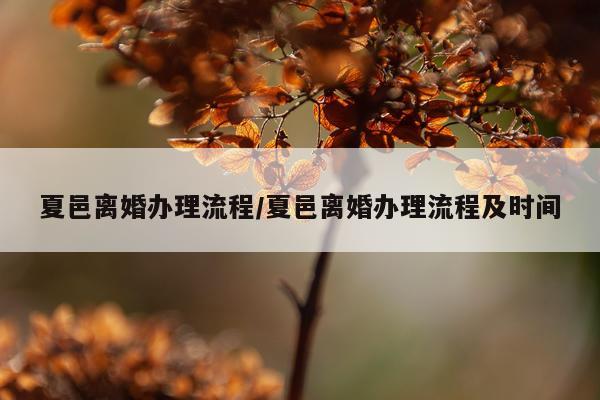 夏邑离婚办理流程/夏邑离婚办理流程及时间